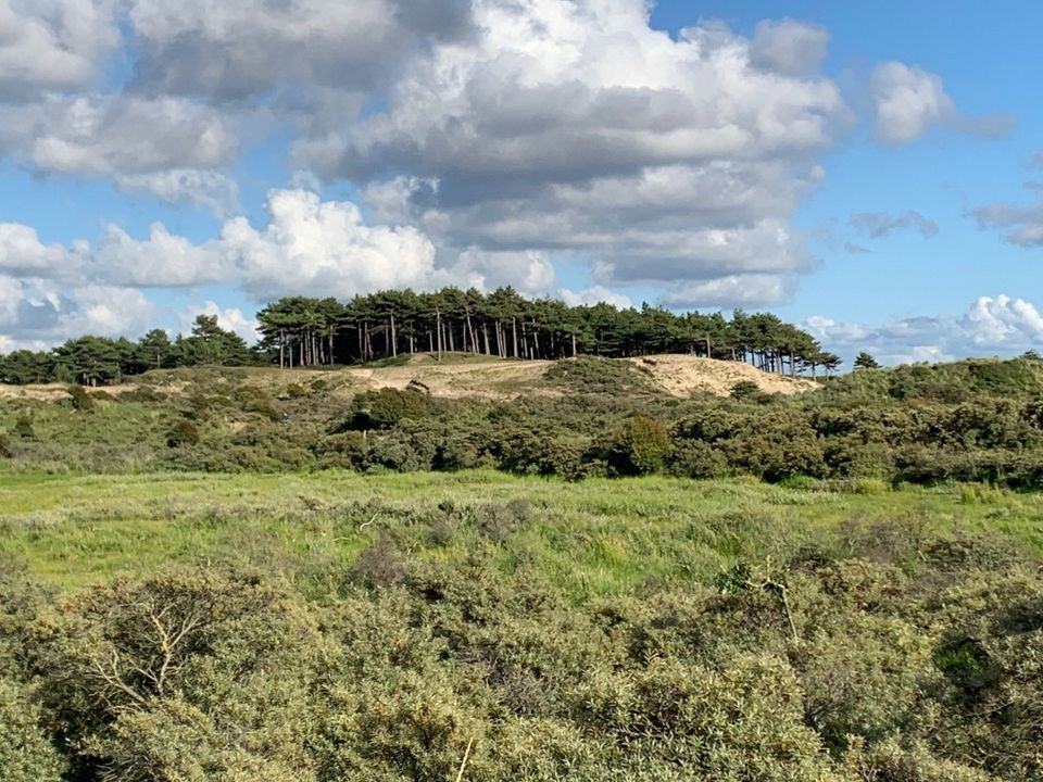 Day birdingZandvoort2 960w