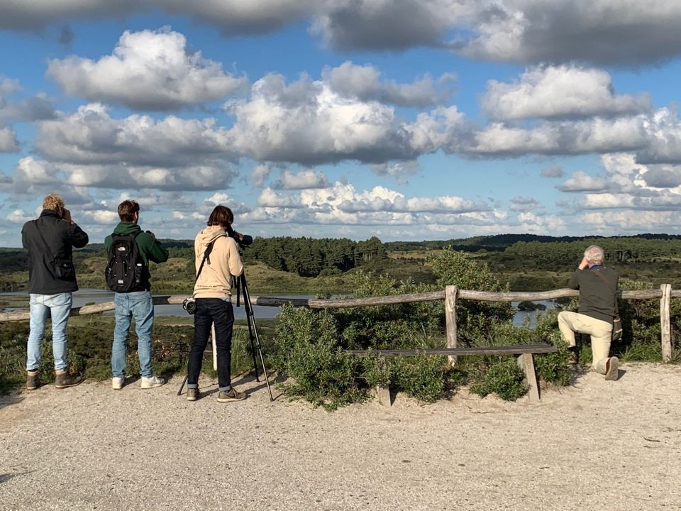 Day birdingZandvoort4 960w