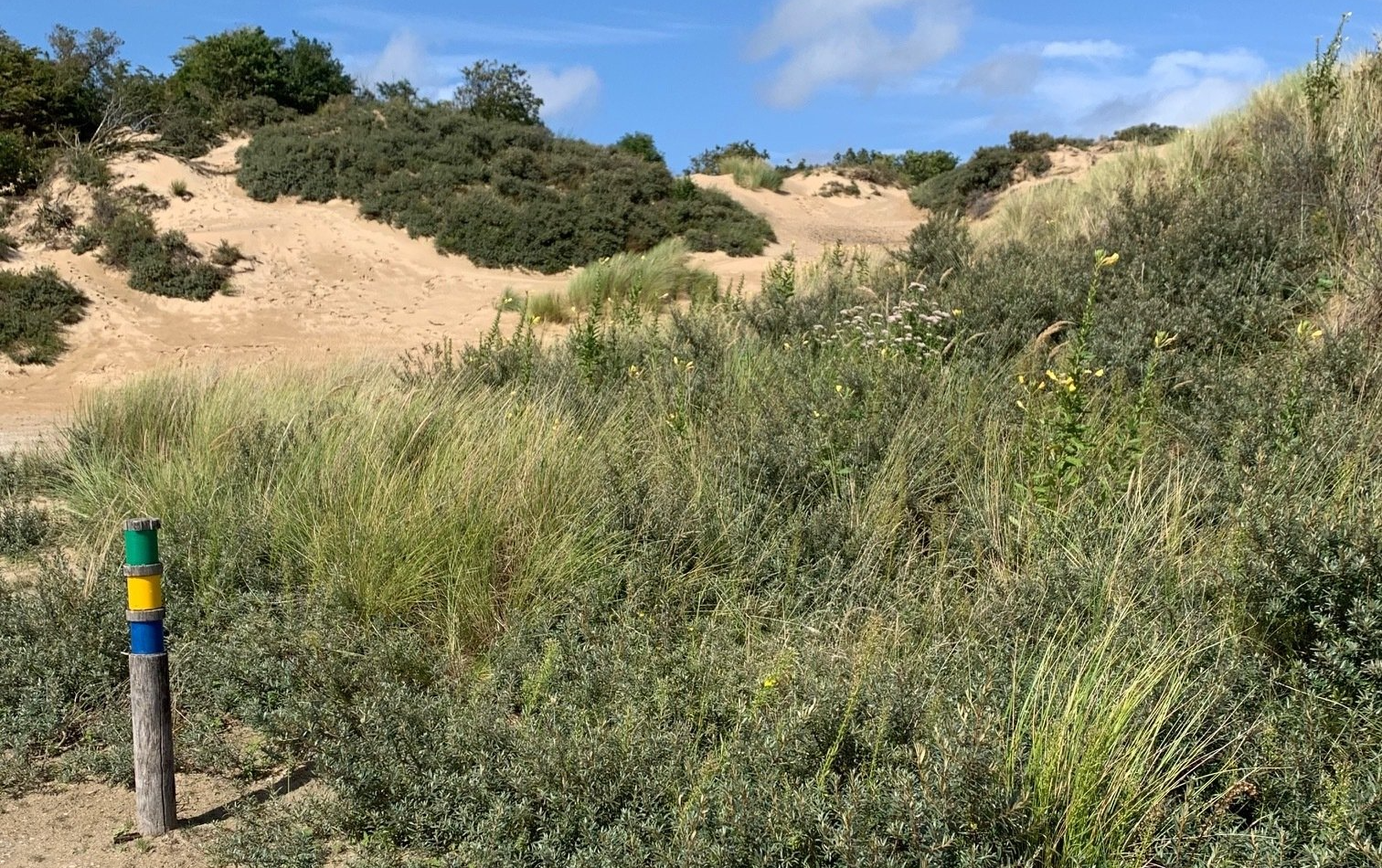 Wandelen Duinen 1920w