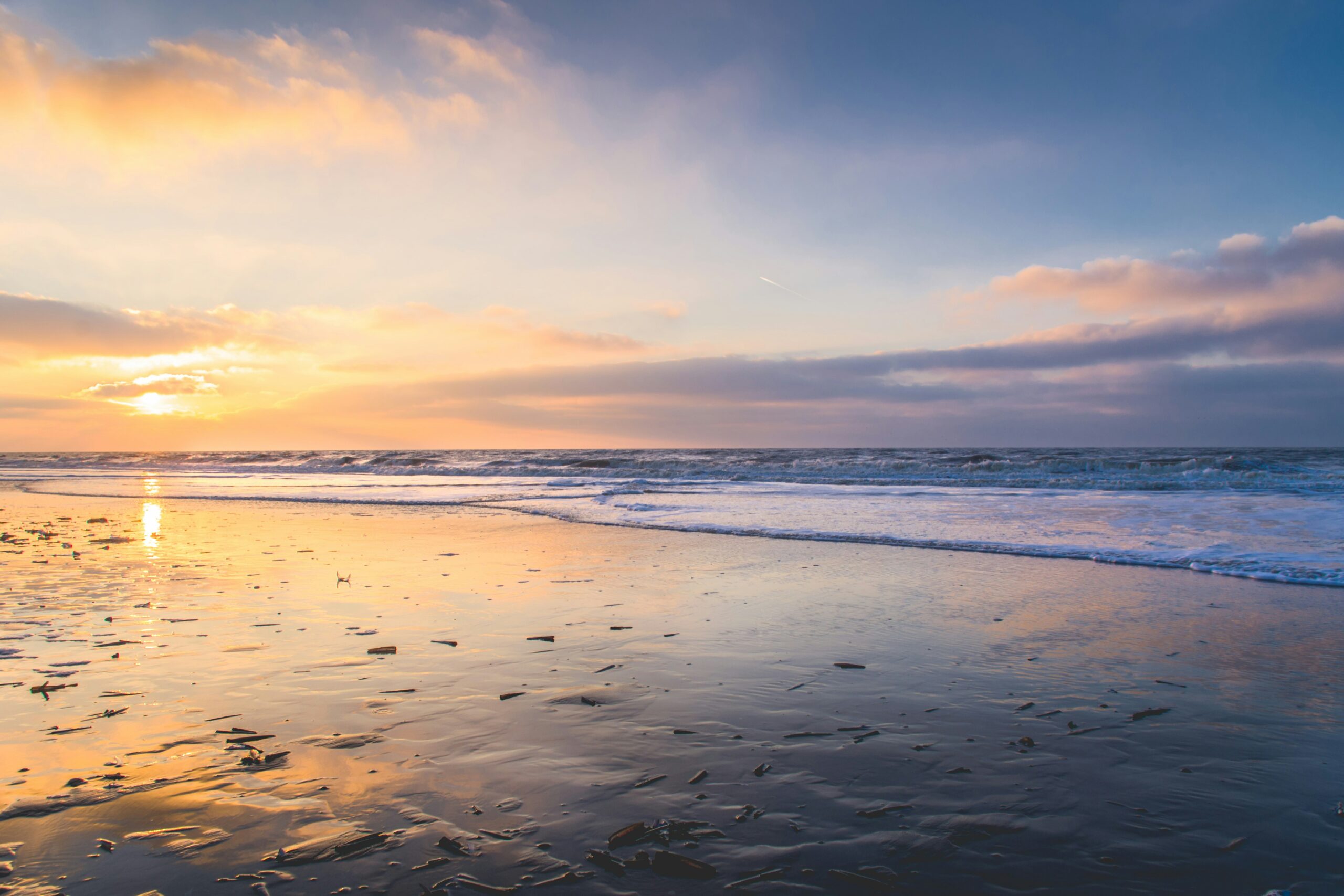 Holiday in Zandvoort