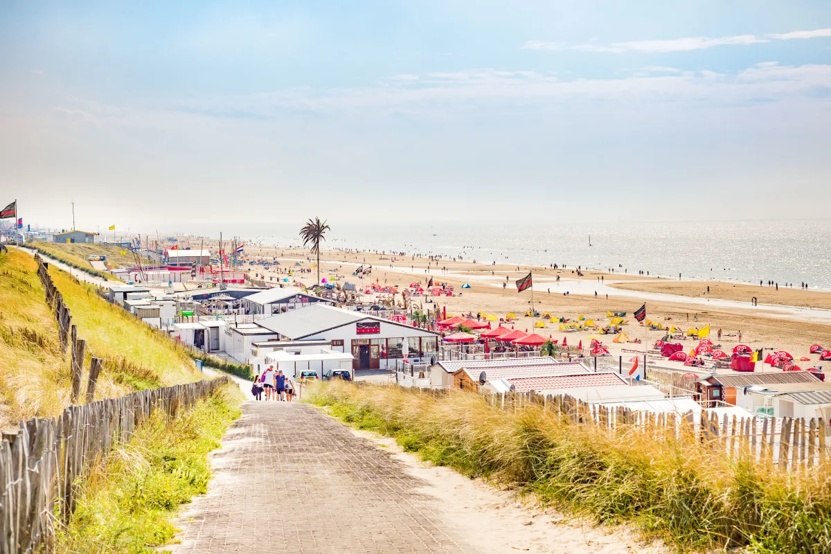 ein Weg, der zu einem Strand führt